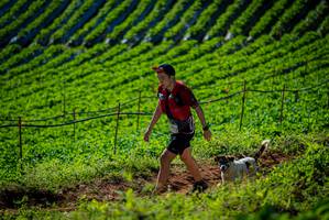 BIB: 
                            <button type="button" onclick="openModal(19161216)" class="btn btn-primary btn-sm float-right btn-popup" data-toggle="modal" data-target=".modal-high-quality">
                        <i class="fas fa-shopping-cart"></i> Add to Cart
                    </button>
                                            <button type="button" onclick="isThisMe(19161216, true)" class="btn btn-success btn-sm float-right btn-popup btn-isme hidden" data-toggle="tooltip" data-placement="bottom" title="นี่คือรูปของคุณใช่ไหม คลิกที่นี่เพื่อเอาเข้าอัลบั้ม">
                        <i class="fas fa-plus"></i> Add to album
                    </button>
                    <button type="button" onclick="isThisMe(19161216, false)" class="btn btn-warning btn-sm float-right btn-popup btn-isnotme hidden">
                        <i class="fas fa-ban"></i> Remove from album
                    </button>